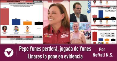 <strong>Pepe Yunes perderá, jugada de Yunes Linares lo pone en evidencia</strong>